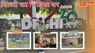 Delhi zoo vlog 2026/Delhi Chidiya ghar/Delhi Zoo all animals Video🐯🦍🦛🐘/Delhi Zoo