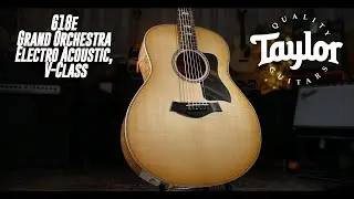 Taylor 618e Grand Orchestra Electro Acoustic, V-Class