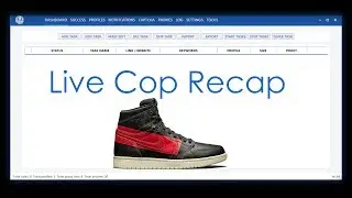 EveAIO Jordan 1 Couture Live Cop Overview