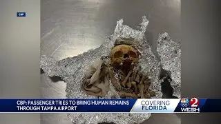 Human remains found in luggage at Florida airport, CBP says