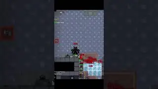 RotMG In a nutshell