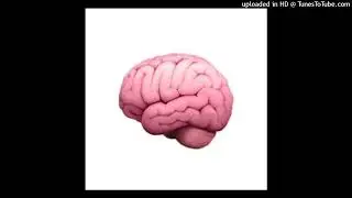 got the brains ft. got the brains ft. yvngpronta, plvgueiskxso, sirmist