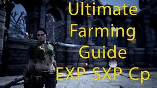 Beginner Leveling Guide-Exp-Sxp-Cp-Bless Unleashed