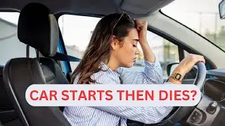 13 Common Reasons Why Your Car Starts Then Dies