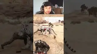 White Tiger Boss Fight: My Toughest Challenge Yet! 🐅🔥 #WhiteTigerBoss #epicgamingmoments