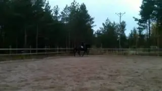 G hemmajobb!