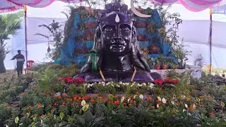 Fruit and Flower Show and Horticulture Campaign, Vijayapura (Bijapur) #shorts #short