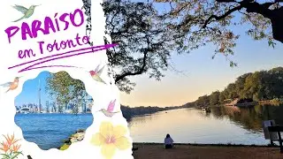 Descobrindo o Paraíso As Ilhas de Toronto!