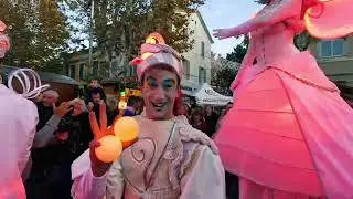 Cirque Indigo