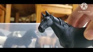 Meet my Schleich Horses! |Schleich|