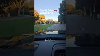 Scenic drive |Sunset Blvd | Los Angeles California