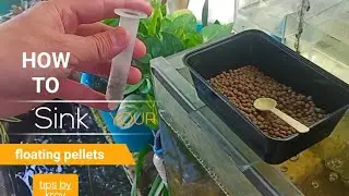how to make floating pellet  to sink