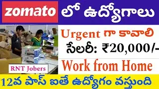 Zomato Work From Home | 100 ఖాలిపోస్ట్లున్నాయ్ | Rnt Jobers Adda