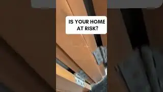 🚫 No termites allowed! 🐜💥 Protect your home with Entrila Steel Doors &mdash; termite proof, ultra d