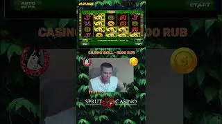 Big Panda от Amatic #shortsvideo #shorts #shortsclip #reels #reelsvideo #trending #reccomended