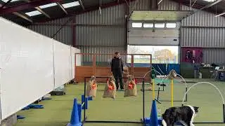 Sinterklaas vieren met je hond? Een movement puzzel voor jong en oud.