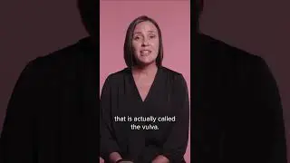 Vulva vs Vagina (By Parents, for Parents)
