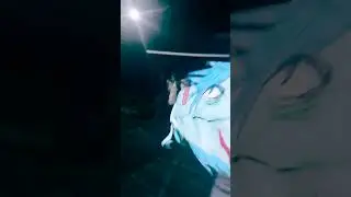 *.Velox in the night.*~🐲💙