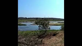 River walk by Balule, Kruger national park