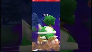 How much HP does Shadow Torterra need to beat Swampert?
