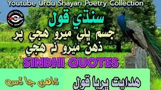 Sindhi Quotes| Ustad Bukhari Quotes In Sindhi| Sindhi Aqwal E Zareen| سنڌي قول| Urdu Shayari Poetry