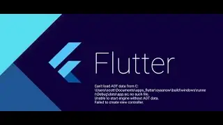 Can't load AOT data, app.so file not found flutter
