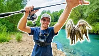Pêcher beaucoup de Poissons et les Manger en Friture ! [Pêcher-Cuisiner-Manger]