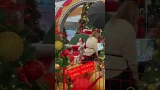 Santa is early | Christmas already at Roosevelt Field mall
