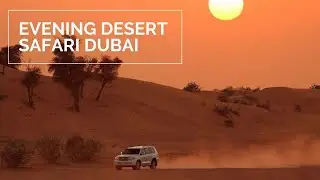Evening Desert Safari Dubai |  Sand Boarding |  Dune Bashing
