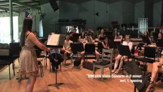 Tanglewood Music Center Violin Master Class Part 2