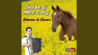 CEL MAI BOMBA COLAJ 2023