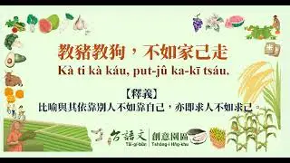 教豬教狗,不如家己走