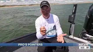 Pro&rsquo;s Pointer 6: The most versatile piece of tackle