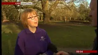 Scout Association's Gilwell Oak - BBC Breakfast Time  -  2 Feb18