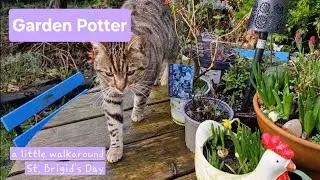 Garden Potter, St. Brigid's Day