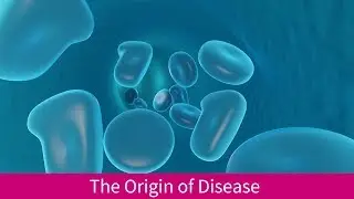 The Origins of Disease with Dr. Shaun McKee