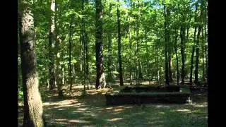 Mussorgksy - The Leaves Were Sadly Rustling (Листья Шумели Уныло)