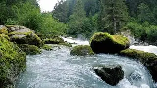 (4K) Nature - Flowing River