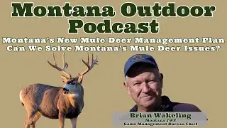 Montana's New Mule Deer Management Plan - Can We Solve Montana's Mule Deer Issues