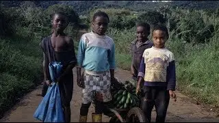 Equatorial Guinea: Oil Wealth Squandered and Stolen
