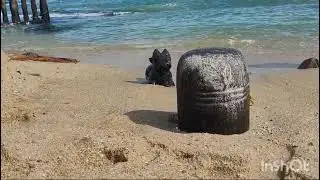 Indian Ocean | Lord Shiva | Om Namah Shivay | @mohans4 | Kanyakumari