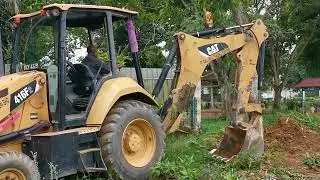 Pohon mempelam pauh ambo disodok jentolak part 2