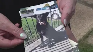 Waco couple is seeking justice for their dog who was shot and killed by Waco PD