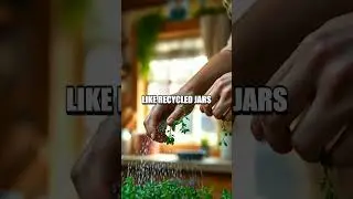 Creating a Cozy Indoor Herb Garden