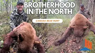 Братство на Севере: канадская охота на медведя