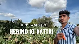आज खेत में अरंडी की फसल कटाई - Aaj mene bhi khet me kaam kiya 😁