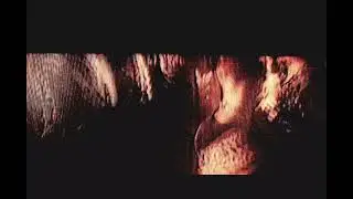 mosh pit | визуал 
