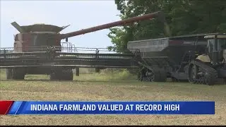 Indiana farmland prices hit record high