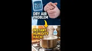 Boiling Water on the Stove: The Ultimate Dry Skin Fix #winterskin #humidity