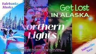 Fairbanks, Alaska: Northern Lights, Dog Sledding & Hot Springs! ❄️ My Ultimate Winter Escape